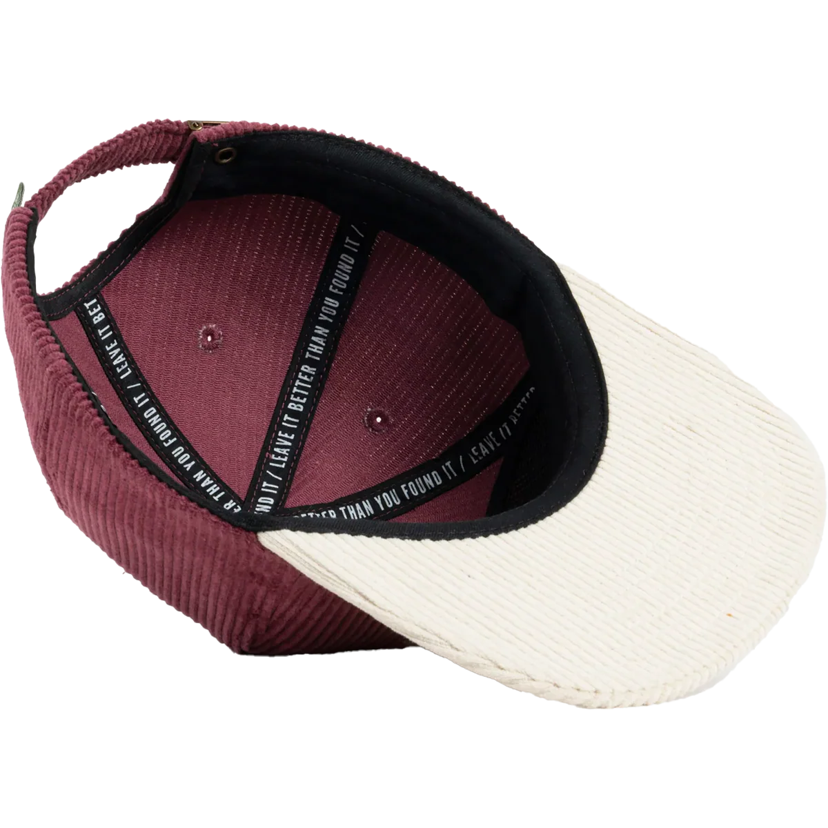 Tree Hugger Oval Cord Cap - Image 5