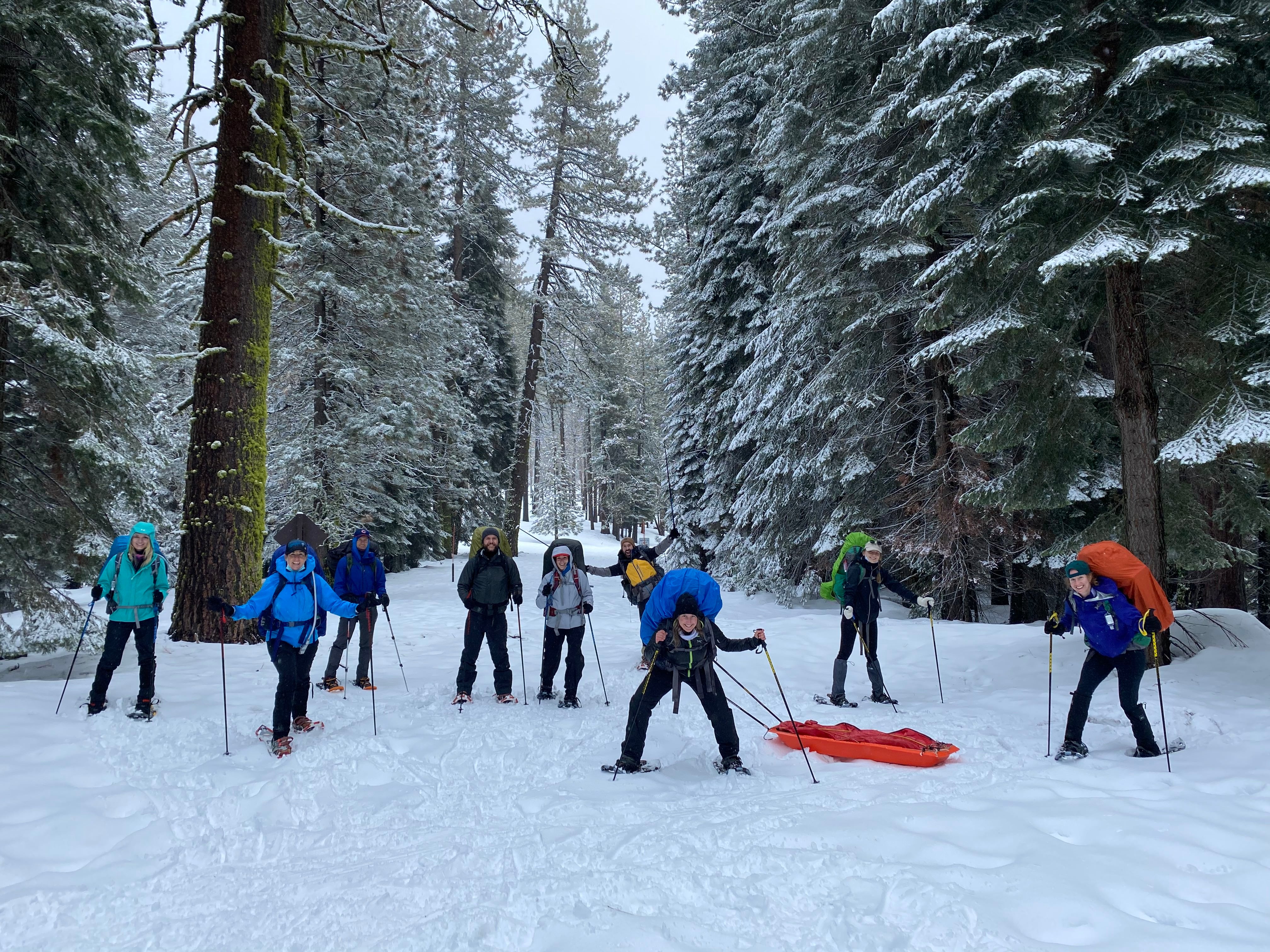 Snowshoeing Yosemite: Tuolumne Grove/Gin Flat Weekend - Image 2