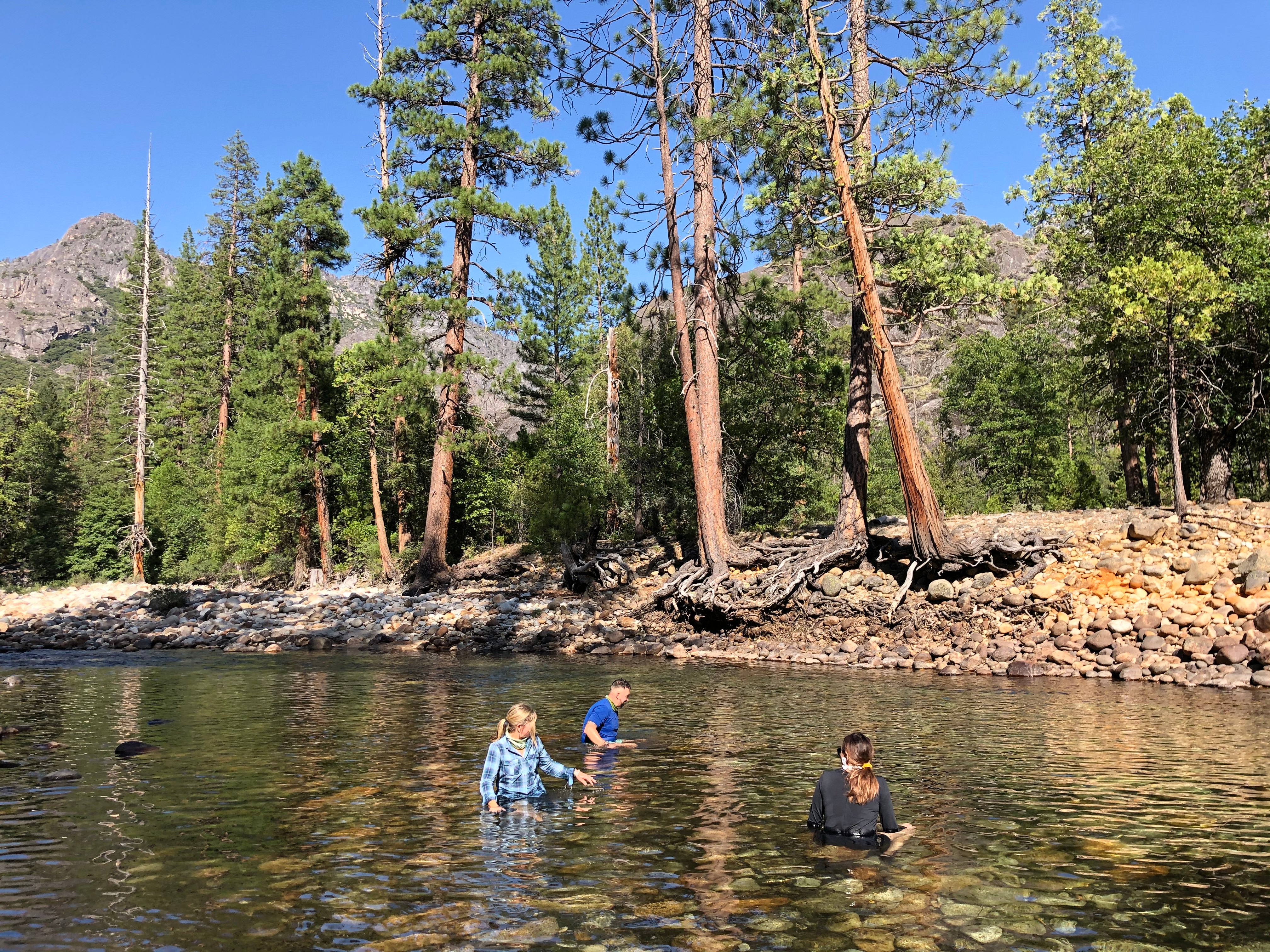 Backpacking Yosemite: Grand Canyon of the Tuolumne River - Image 48