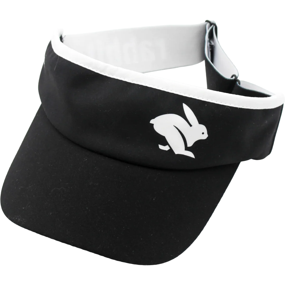 Visor