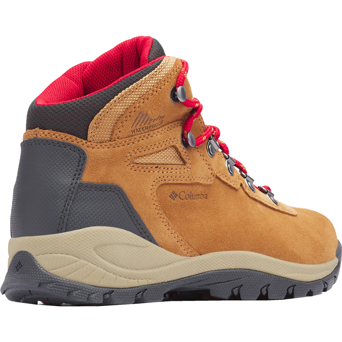 Women's Newton Ridge Plus Waterproof Amped - Image 8