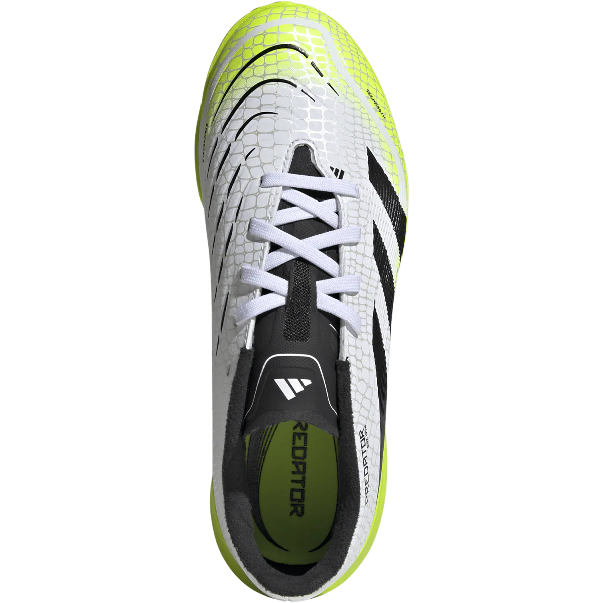 Youth Predator League TF - Image 7