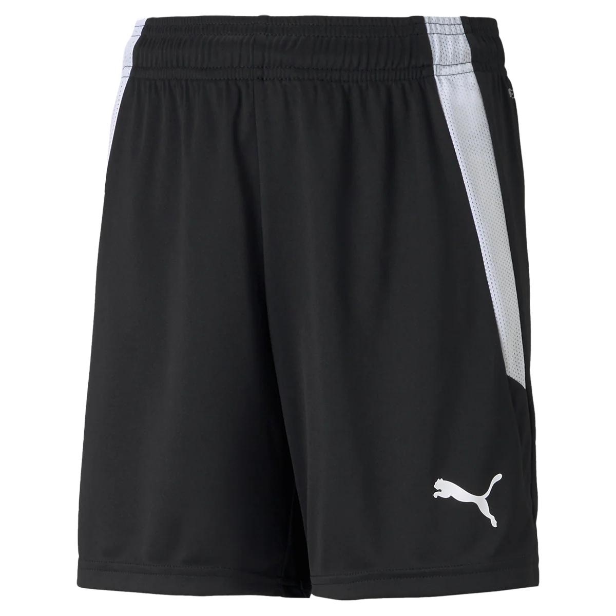 Youth Team Liga Shorts