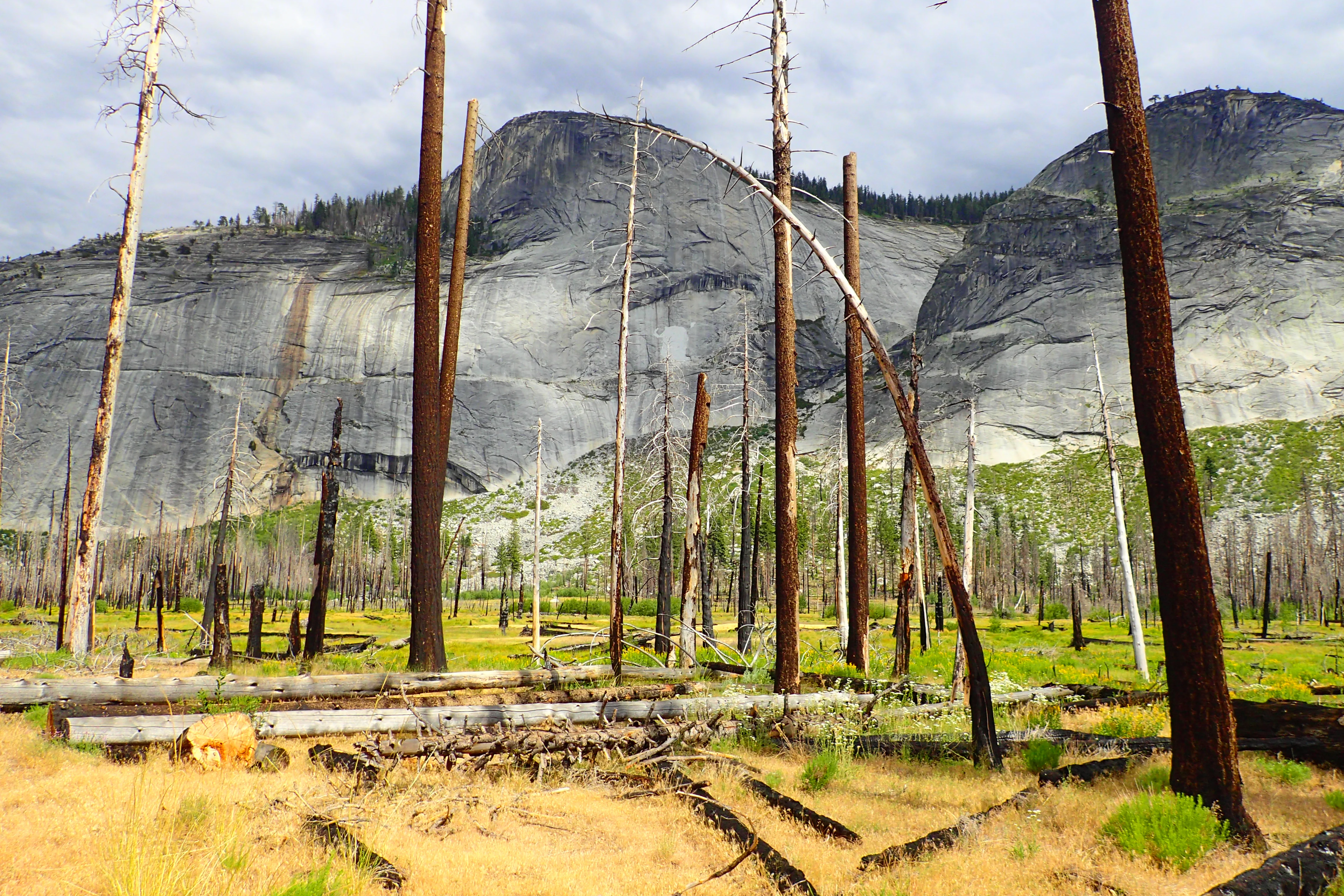 Backpacking Yosemite: Half Dome (3 Day) - Image 56