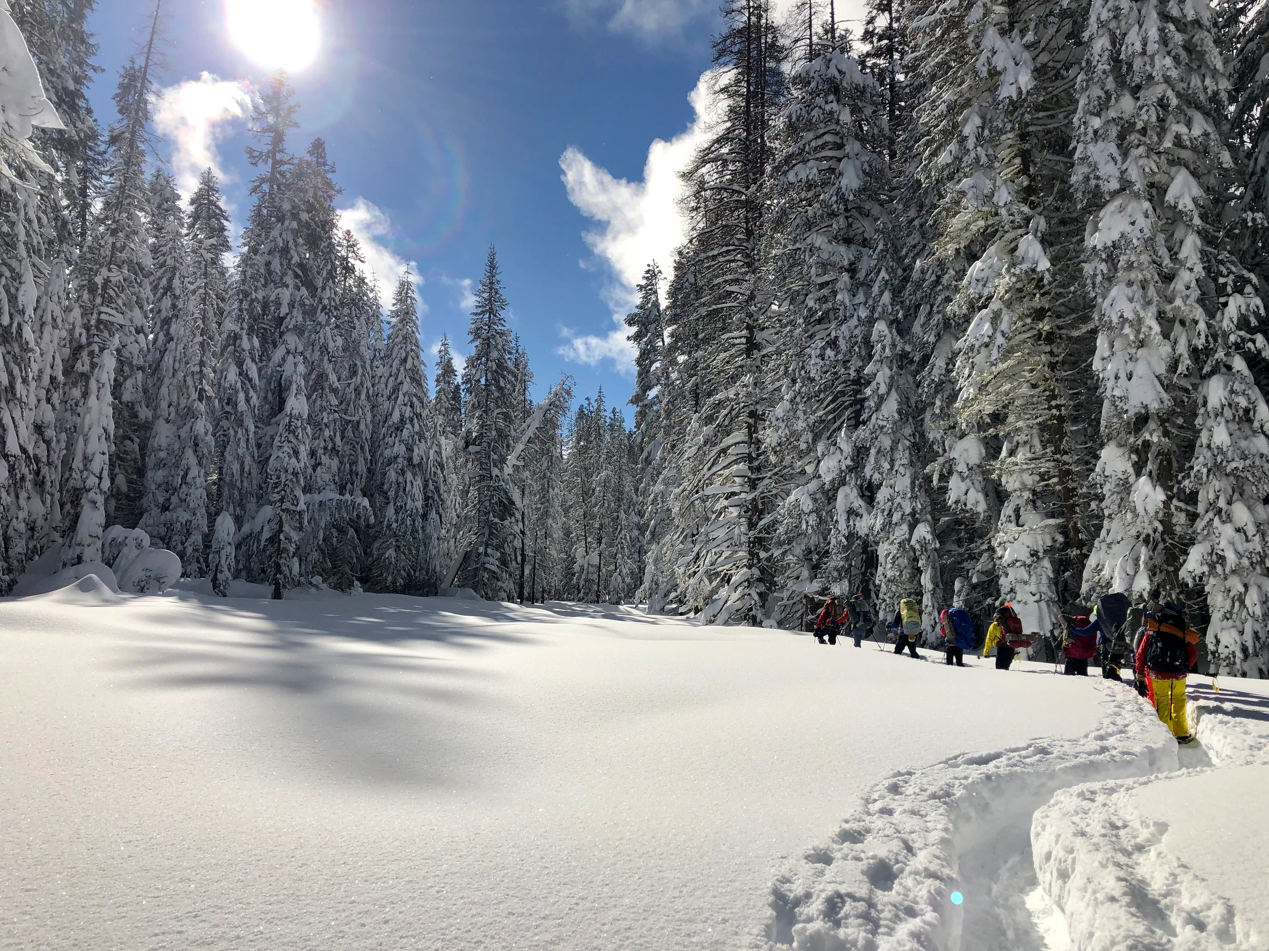 Snowshoeing Yosemite: Dewey Point /Crocker Point Weekend - Image 6